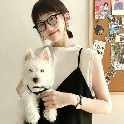 新东京水上警察