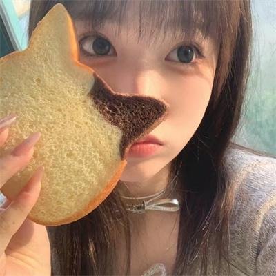 森林奇旅